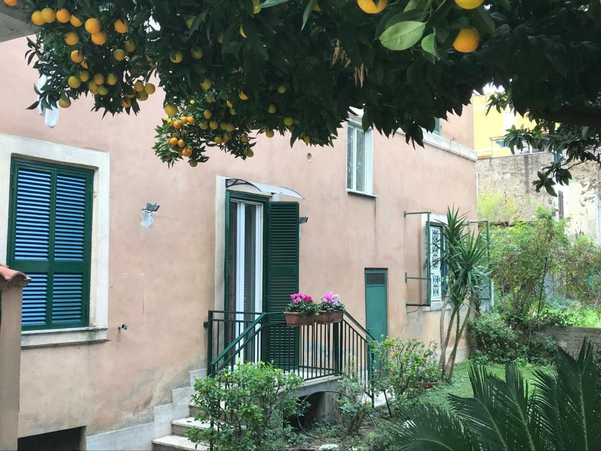 La Casa Del Nespolo Apartment Rom