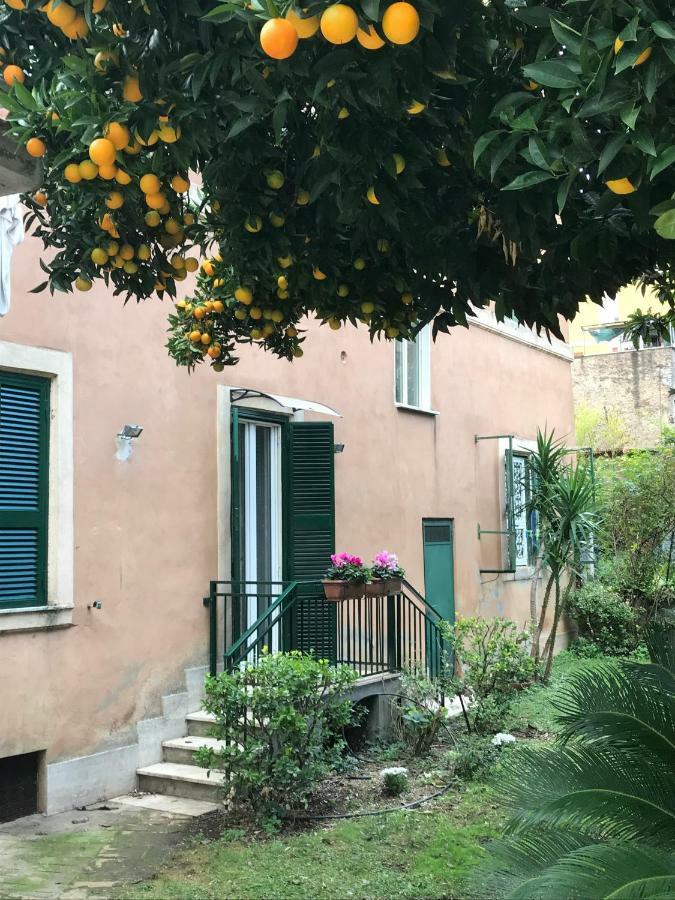 La Casa Del Nespolo